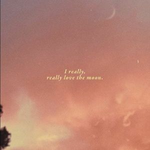 Meet your Posher, Cassi